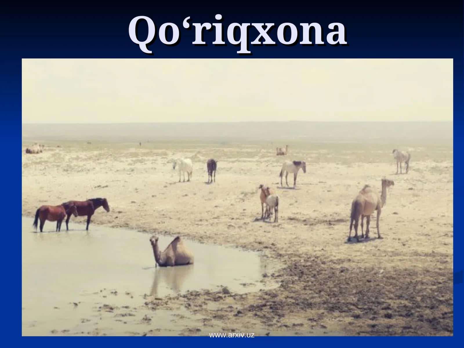 Qo‘riqxona 1