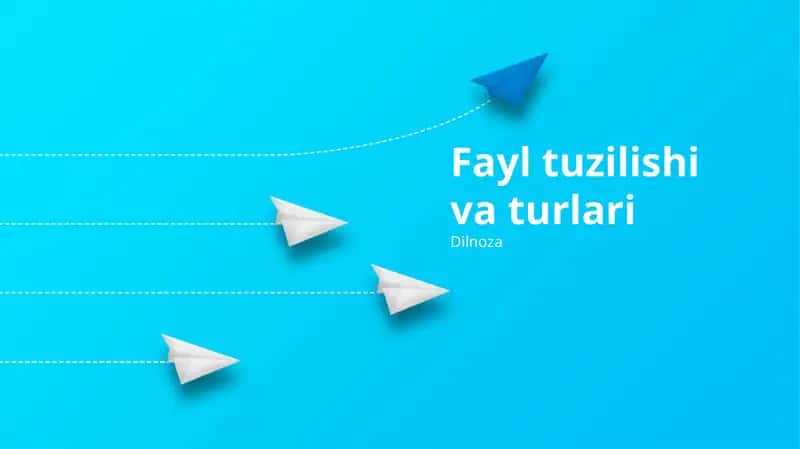 Fayl tuzilishi va turlari 1