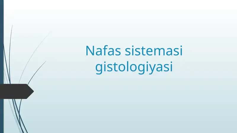 Nafas sistemasi gistologiyasi 1