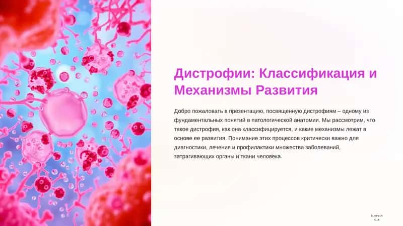 Дистрофия. Классификация и механизмы. 1