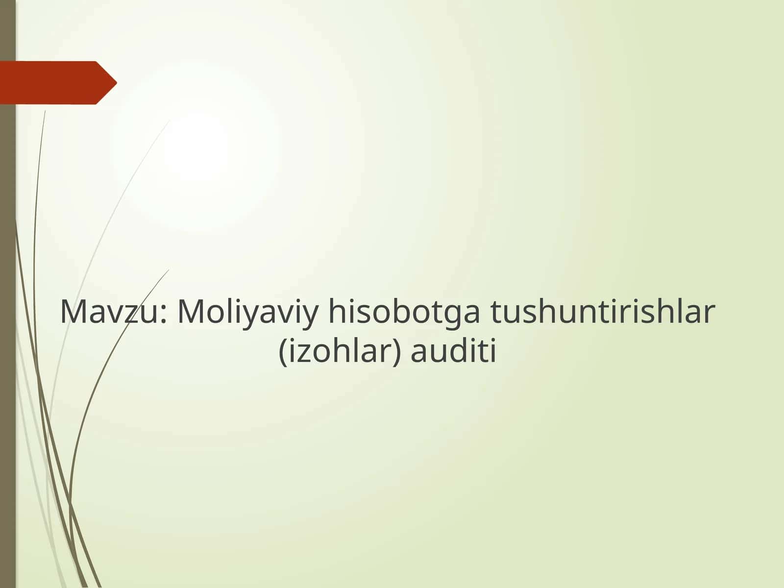 Moliyaviy hisobotga tushuntirishlar (izohlar) auditi 1