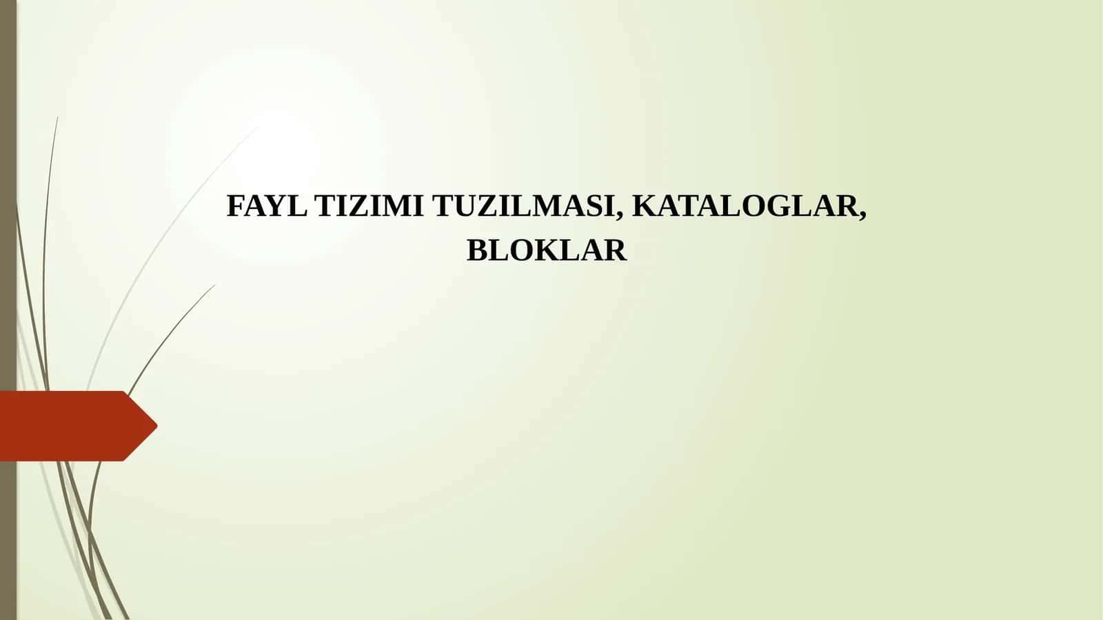 FAYL TIZIMI TUZILMASI, KATALOGLAR, BLOKLAR 1