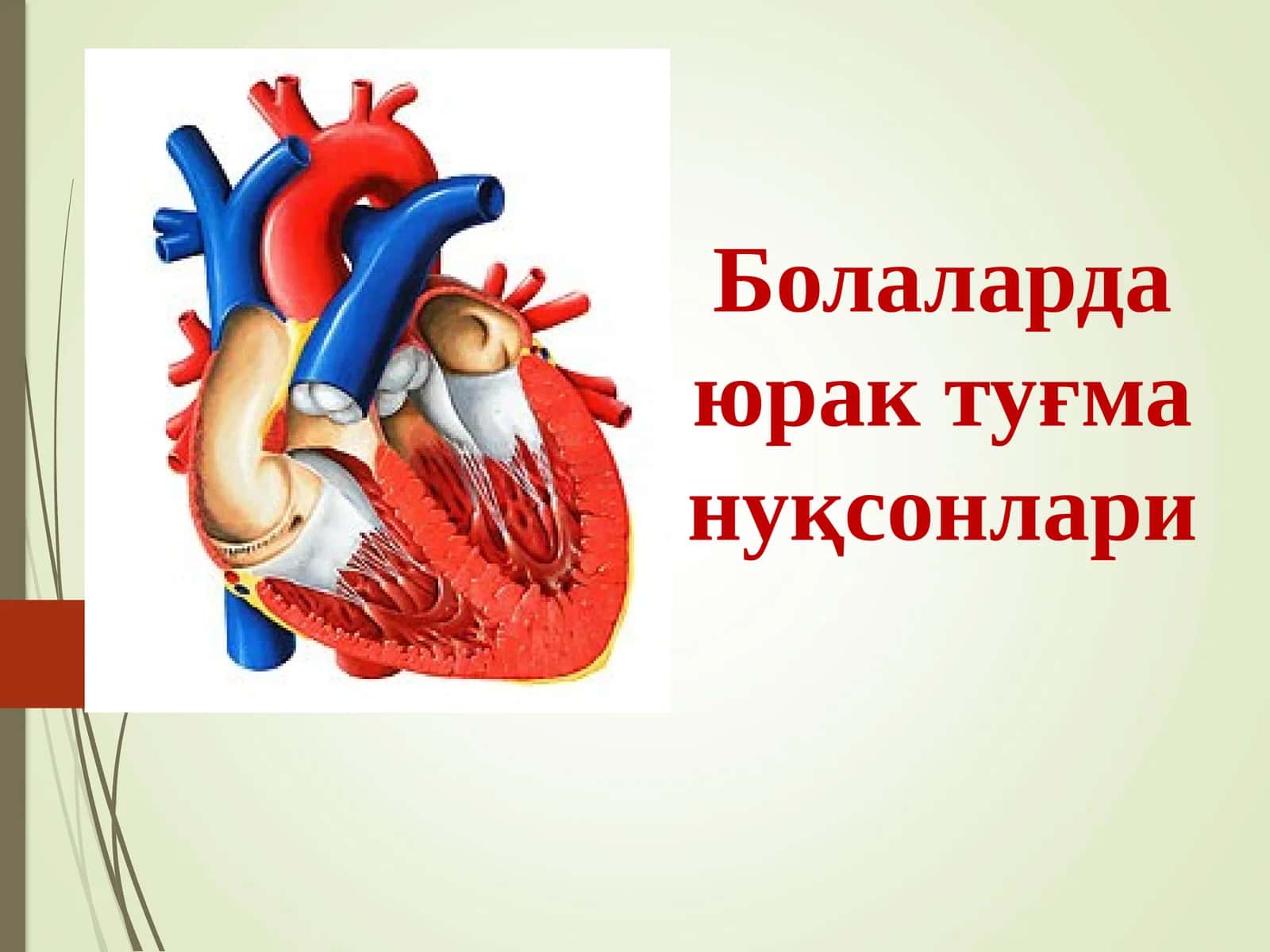 Болаларда юрак туғма нуқсонлари 1