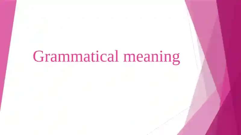 Grammatical meaning