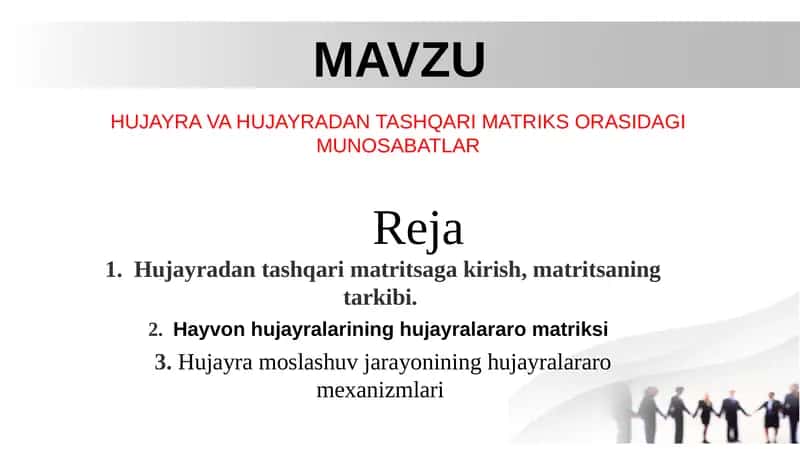 Hujayra va Hujayradan Tashqari Matriks Orasidagi Munosabatlar 1