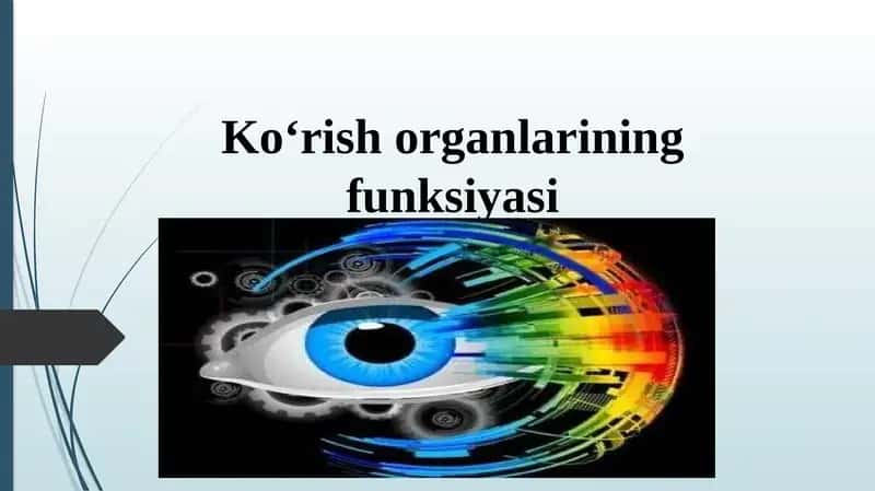 Ko‘znioptikkamera 1