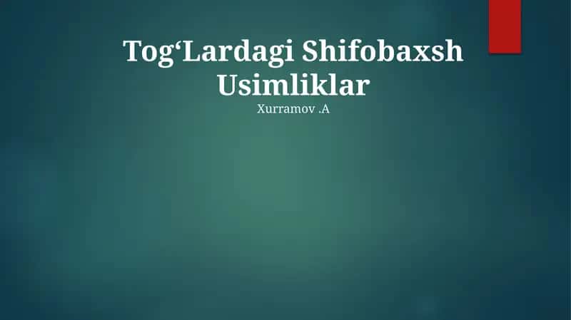 TogʻLardagi Shifobaxsh Usimliklar 1