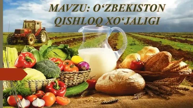 Oʻzbekiston qishloq xoʻjaligi 1