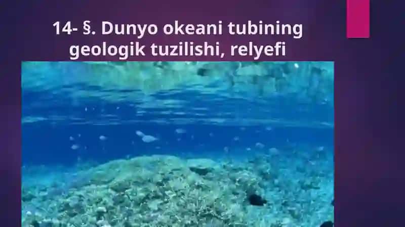 Okean rub'oiy tuzilishi