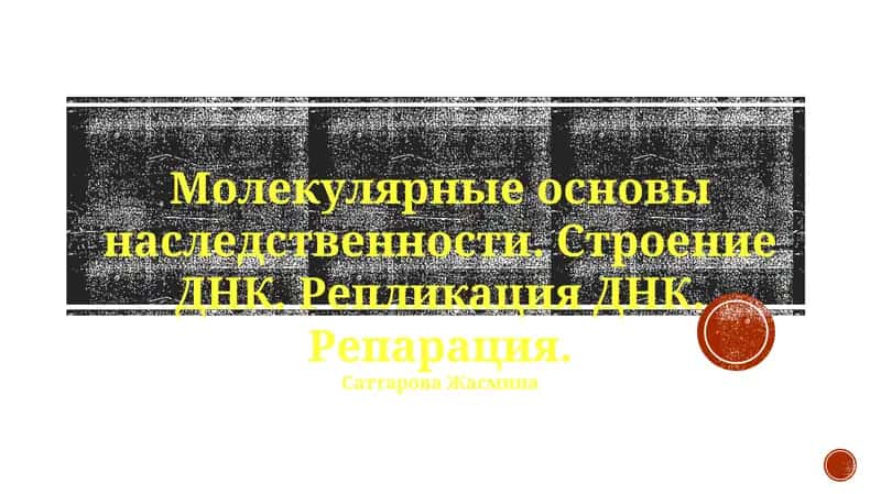 Молекулярные основы наследственности 1