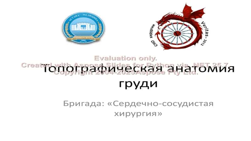 Топографическая анатомия груди 1