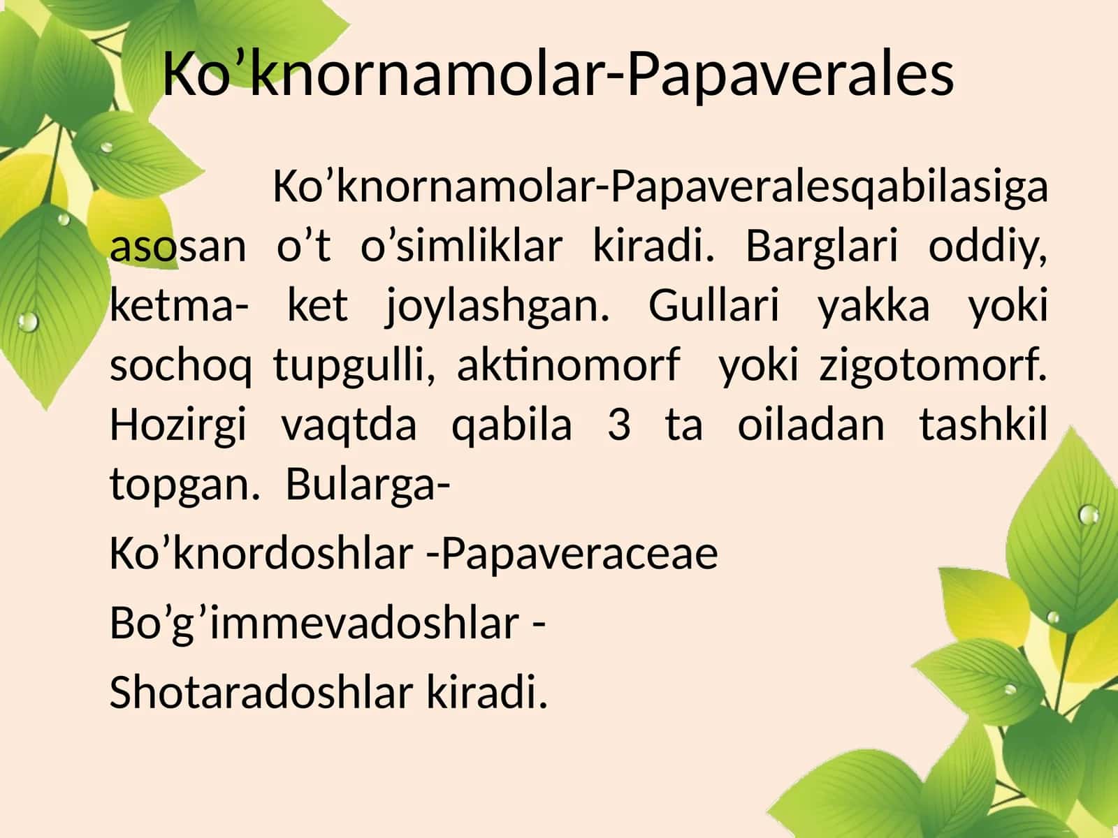 Ko’knornamolar-Papaverales 1