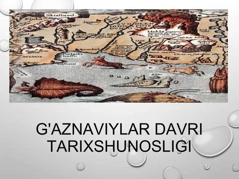 G'aznaviylar davri tarixshunosligi 1