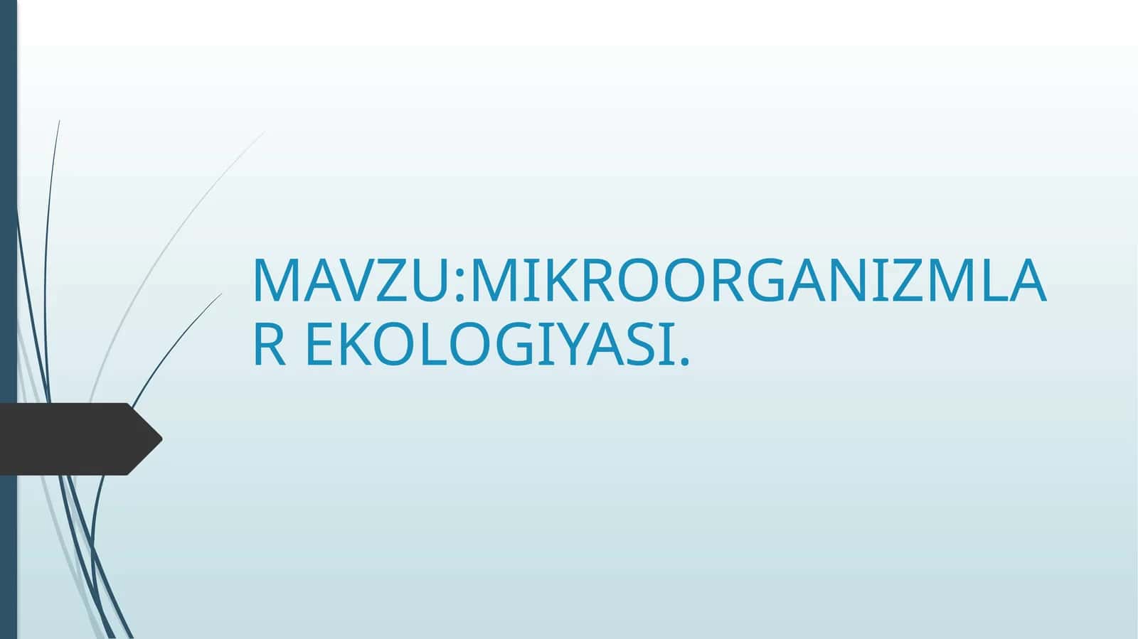 MIKROORGANIZMLAR EKOLOGIYASI 1