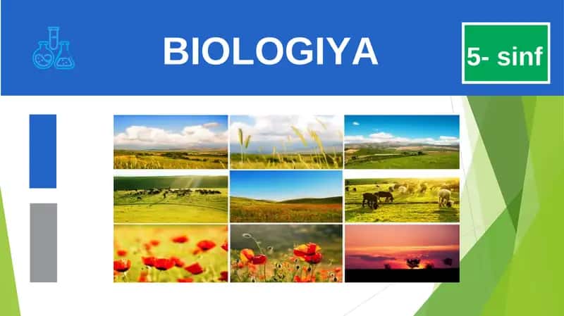 BIOLOGIYA 1