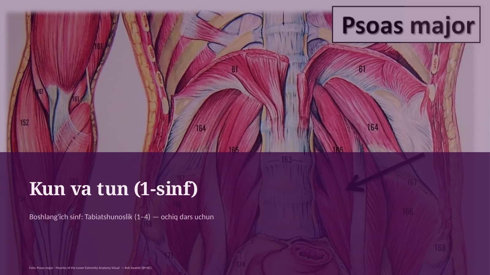 Kun va tun (1-sinf) 1