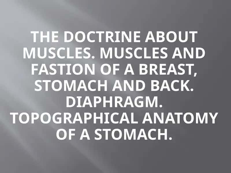 The doctrine about muscles. Muscles and fastion of a breast, stomach and back. Diaphragm. Topographical anatomy of a stomach. 1