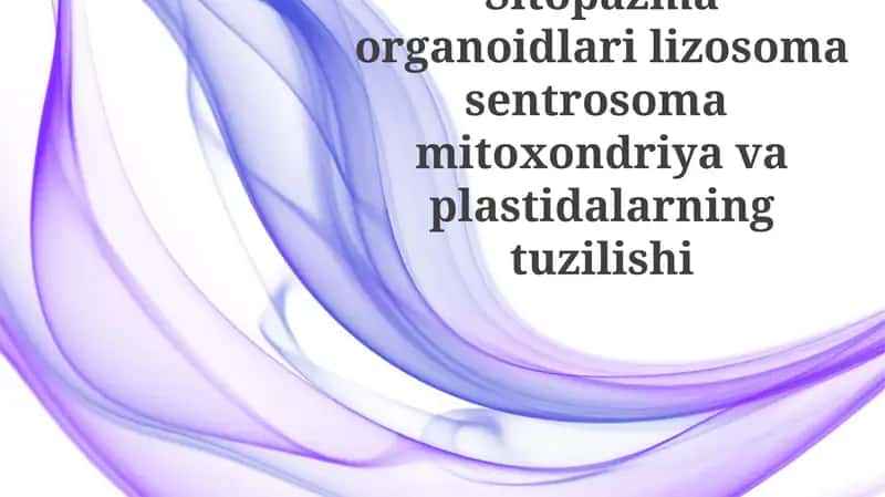 Sitoplazmatik organellalar: Lizosomalar va sentrosomalar 1