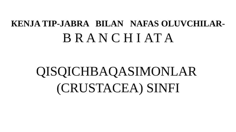 QISQICHBAQASIMONLAR (CRUSTACEA) SINFI 1