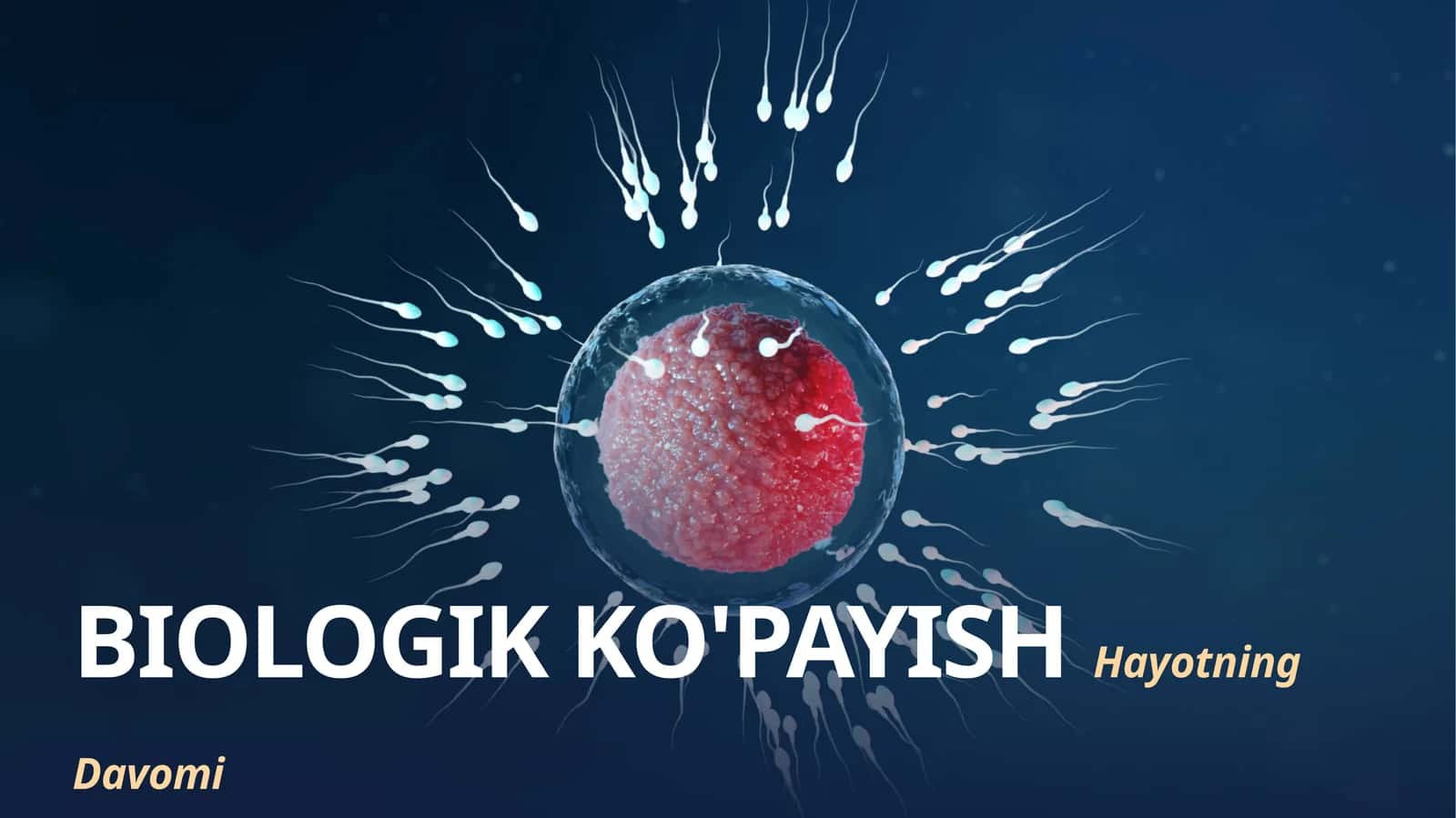 BIOLOGIK KO'PAYISH Hayotning Davomi Prezentatsiya (20 ta slayd) 1