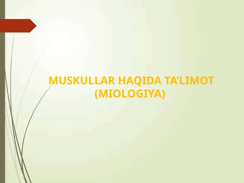 MUSKULLAR HAQIDA TA’LIMOT (MIOLOGIYA) 1