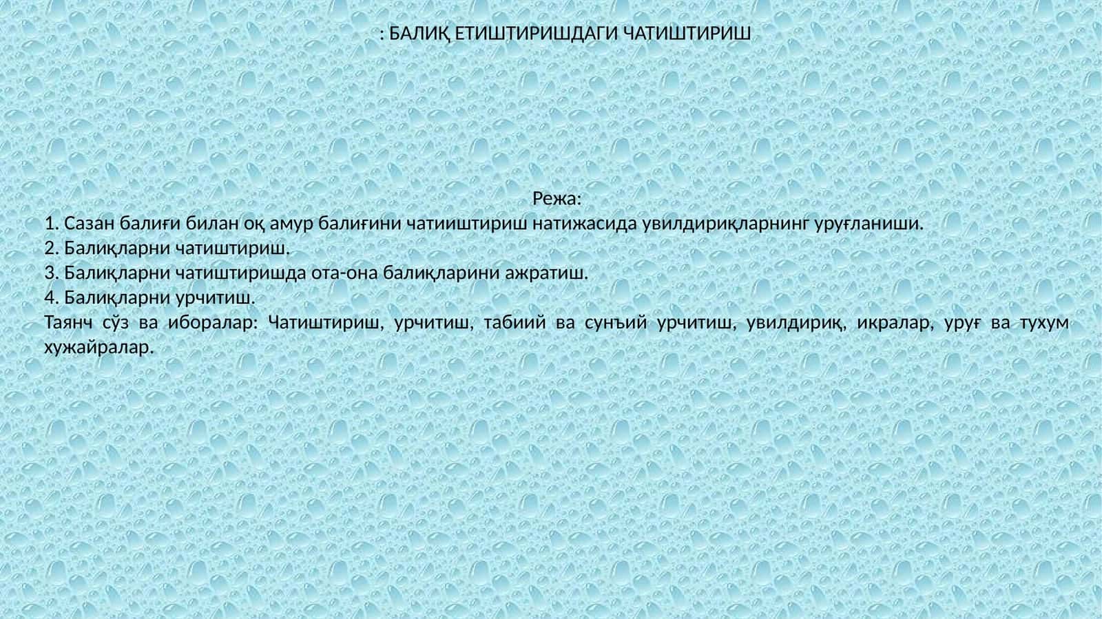 Балиқ етиштиришдаги чатиштириш 1