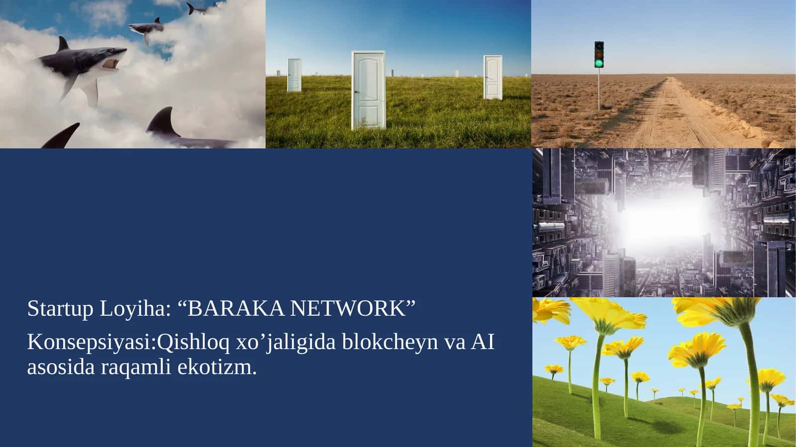 Startup Loyiha: “BARAKA NETWORK” 1