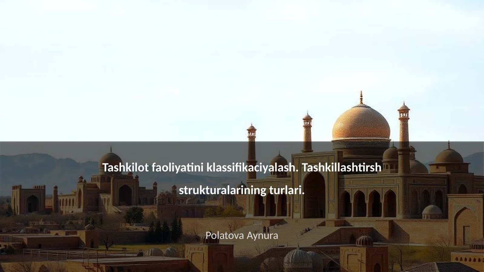Tashkilot faoliyatini klassifikaciyalash 1
