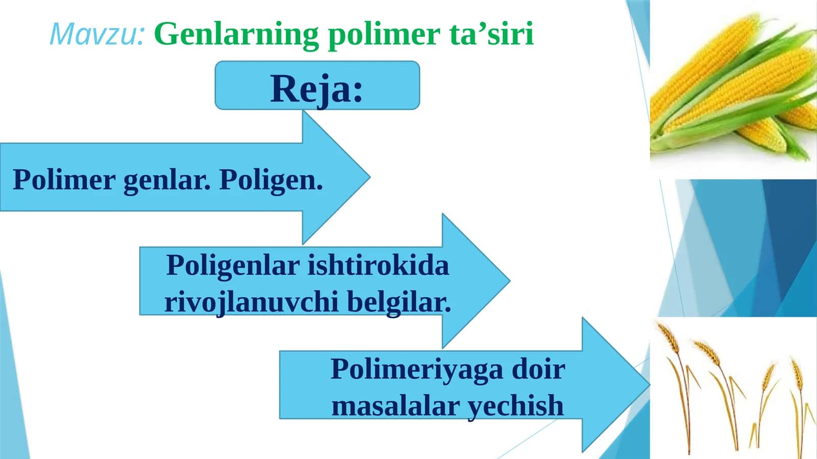 Genlarning polimer ta'siri 1