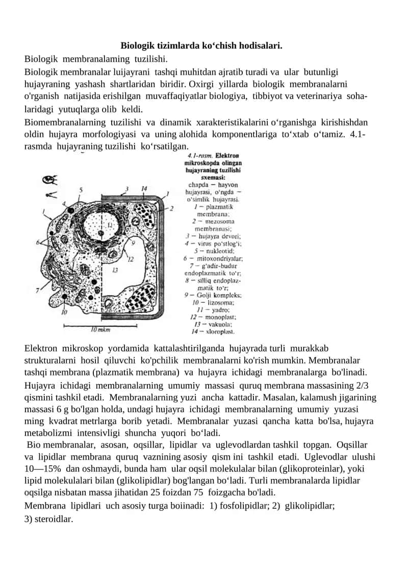 Biologik membranalar tuzilishi 1