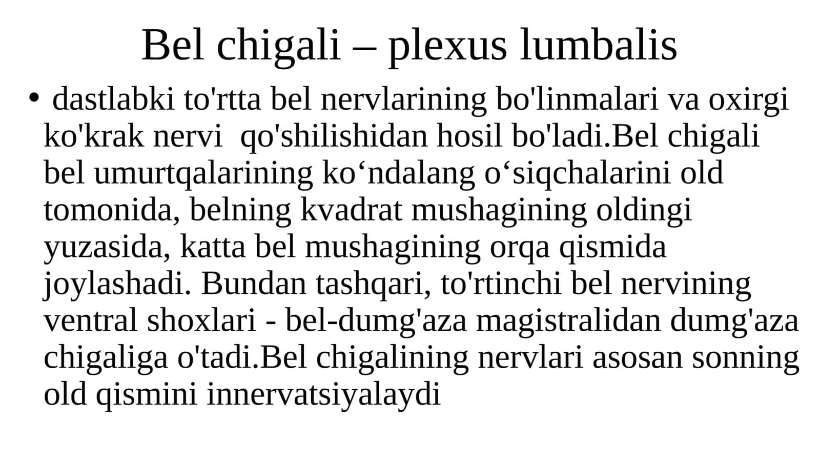Belchigali-plexuslumbalis 1