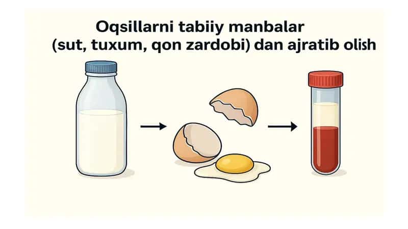 Oqsillarni Ajratib Olish 1