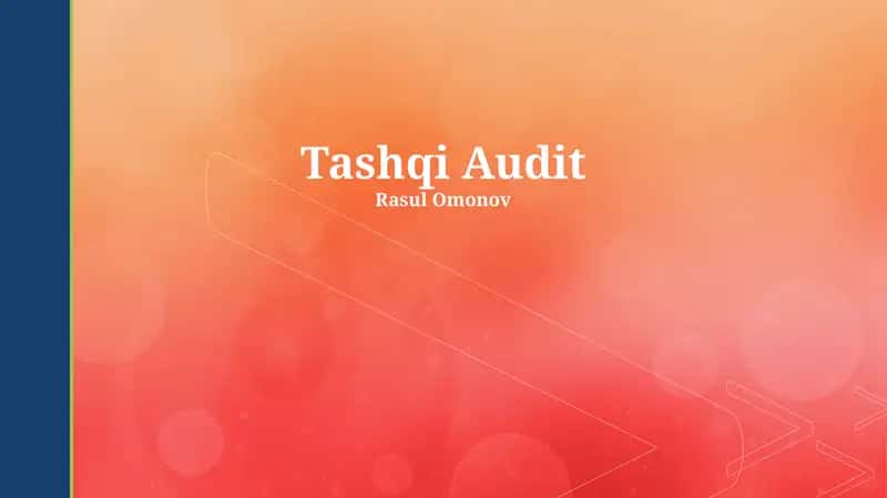 Tashqi Audit 1