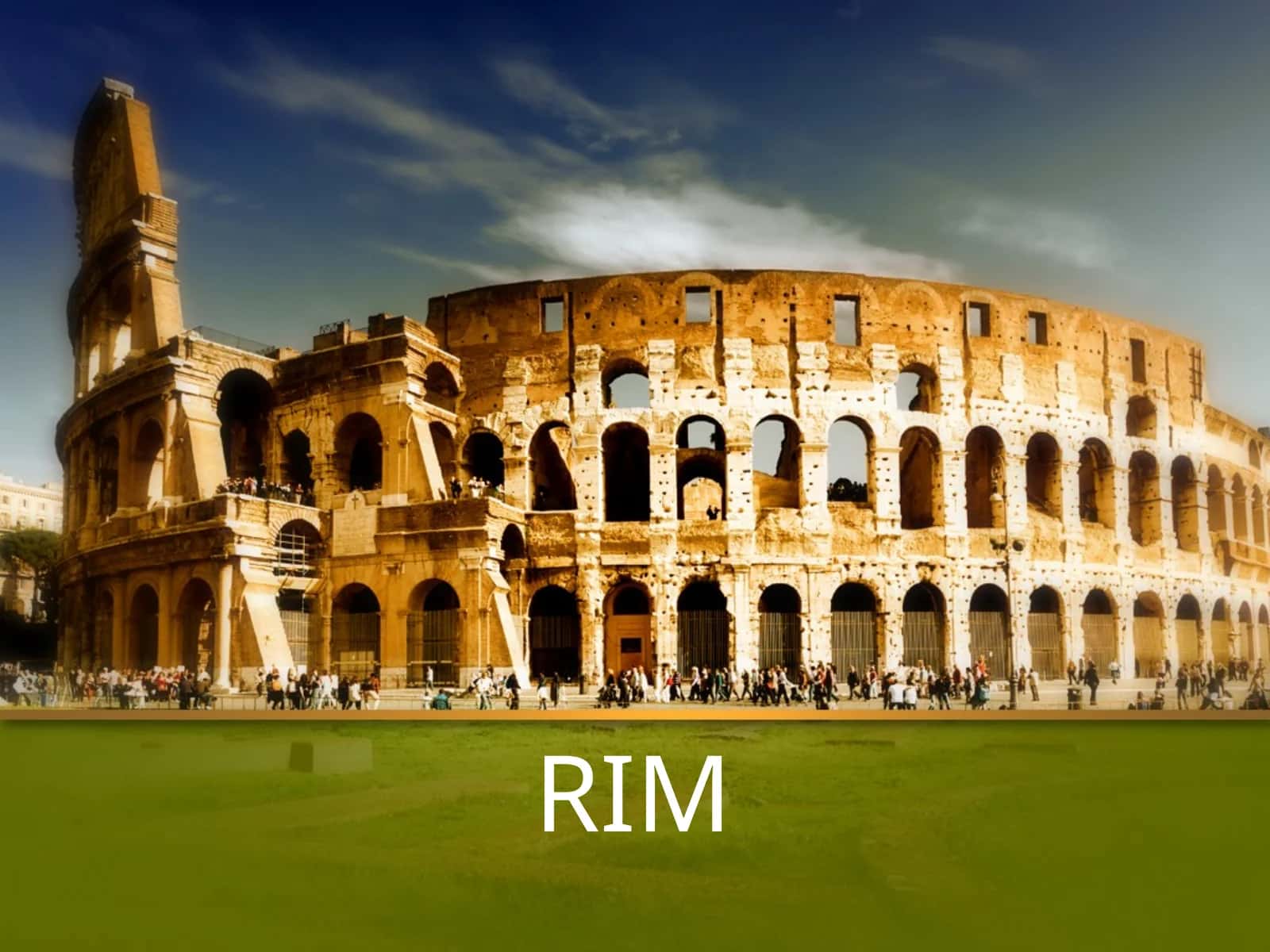 RIM 1