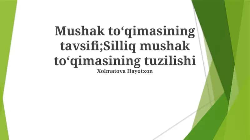 Silliq Mushak Toʻqimasining Tavsifi 1