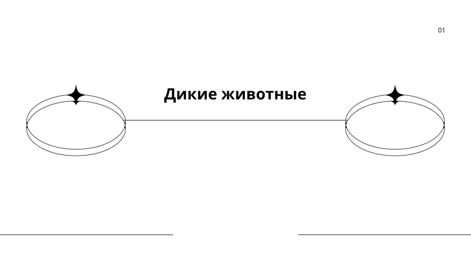 Дикие животные 1