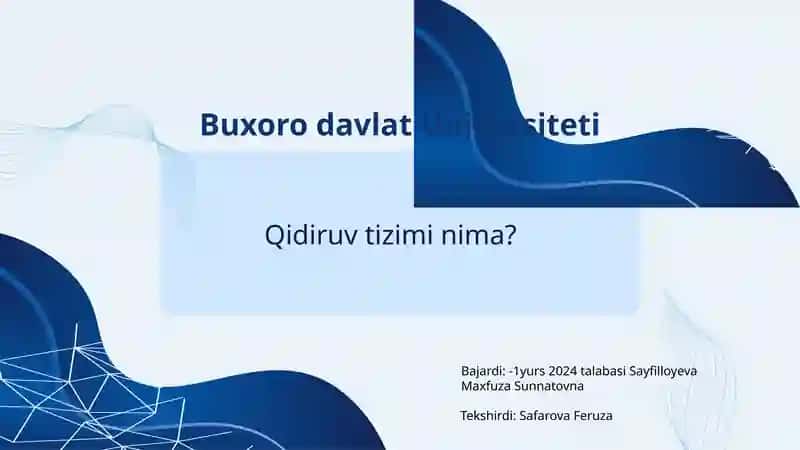 Qidiruv tizimi