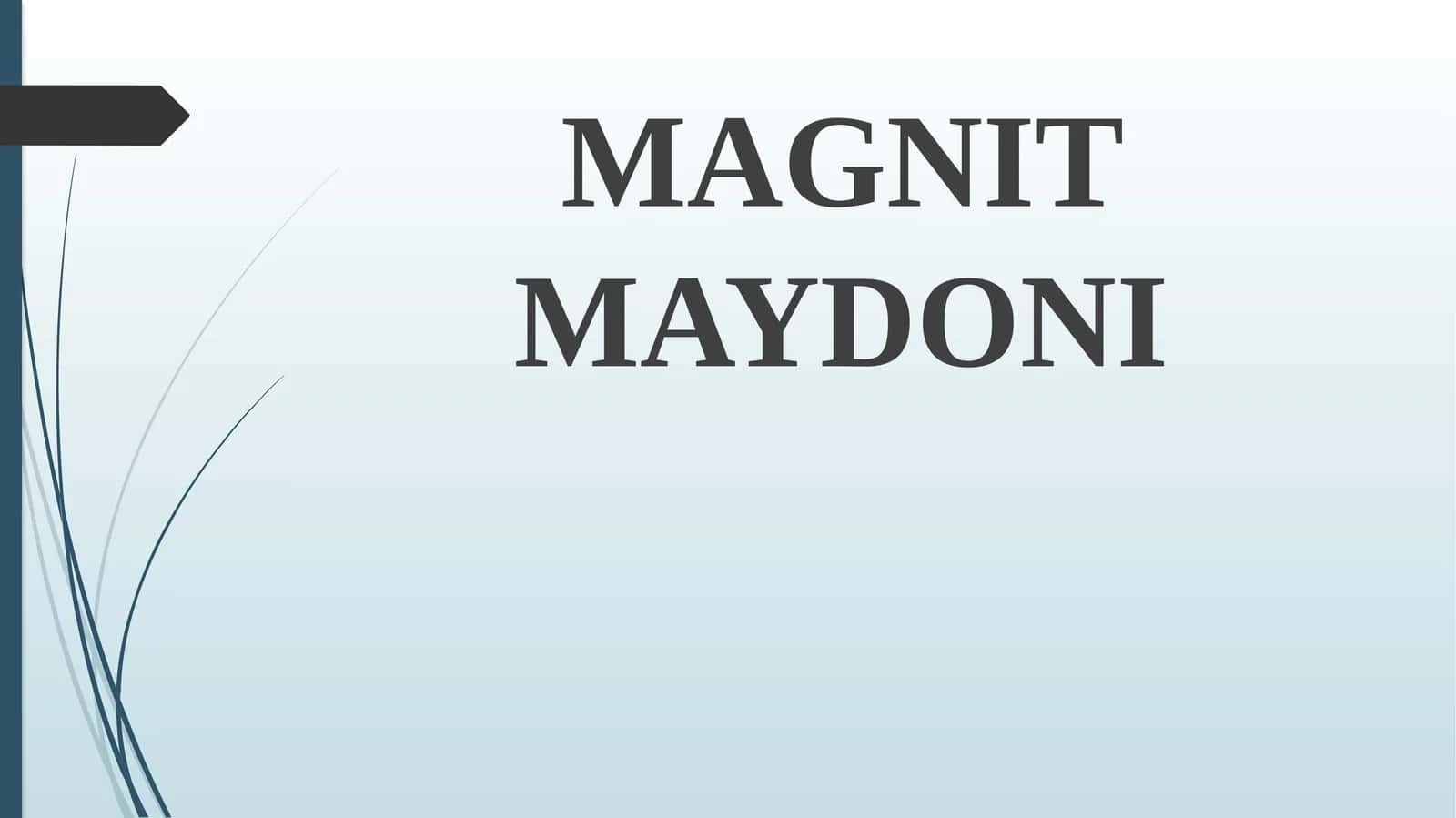 Magnit maydoni 1