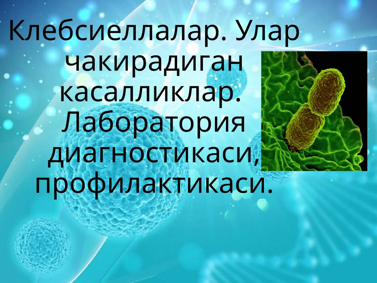Klebsiella bakteriyalari(mikrobiologiya) 1