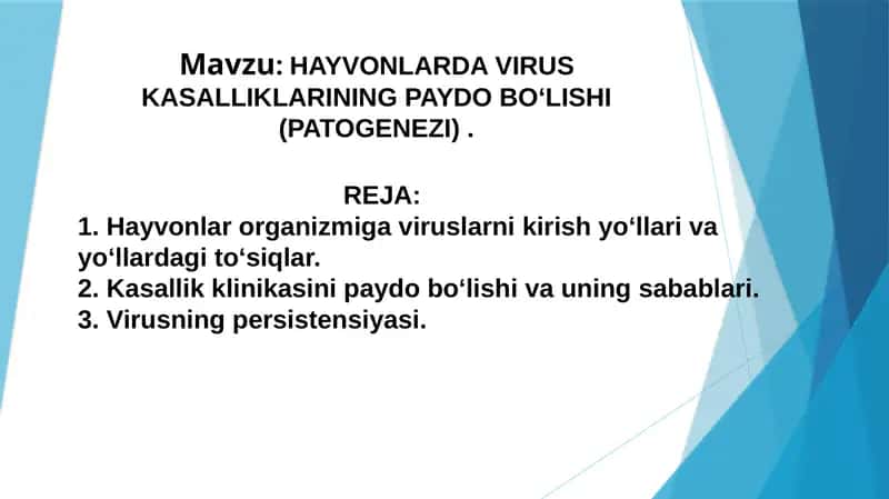Hayvonlarda virus kasalliklari 1