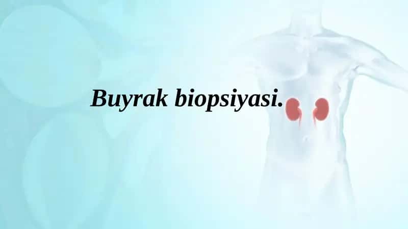 Buyrak biopsiyasi pptx 1