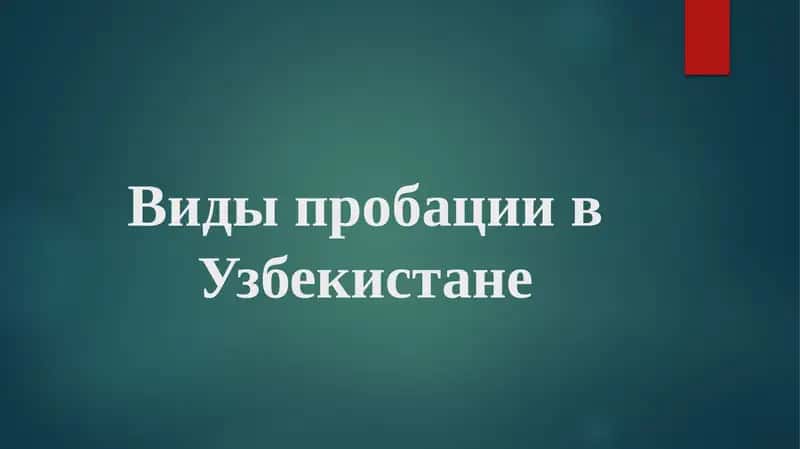 Виды пробации в Узбекистане 1