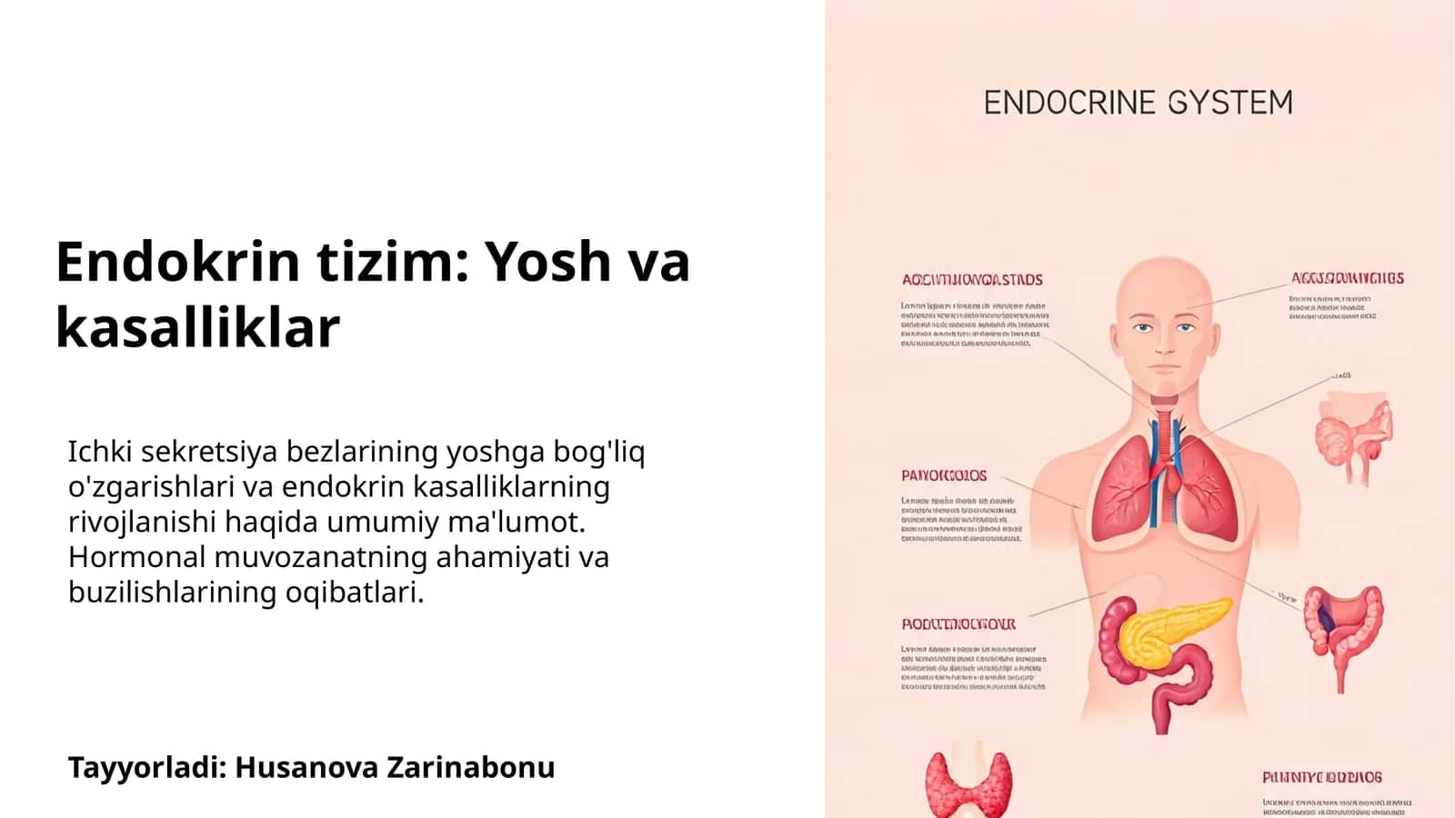 Endokrin tizim: Yosh va kasalliklar 1