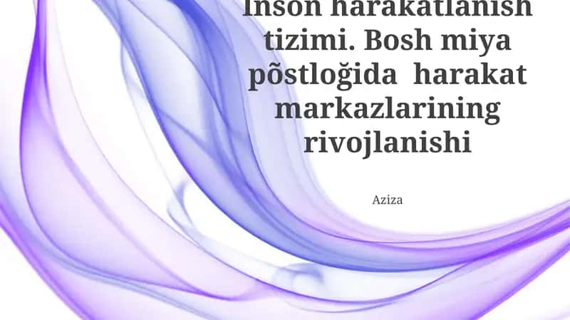 Inson harakatlanish tizimi 1
