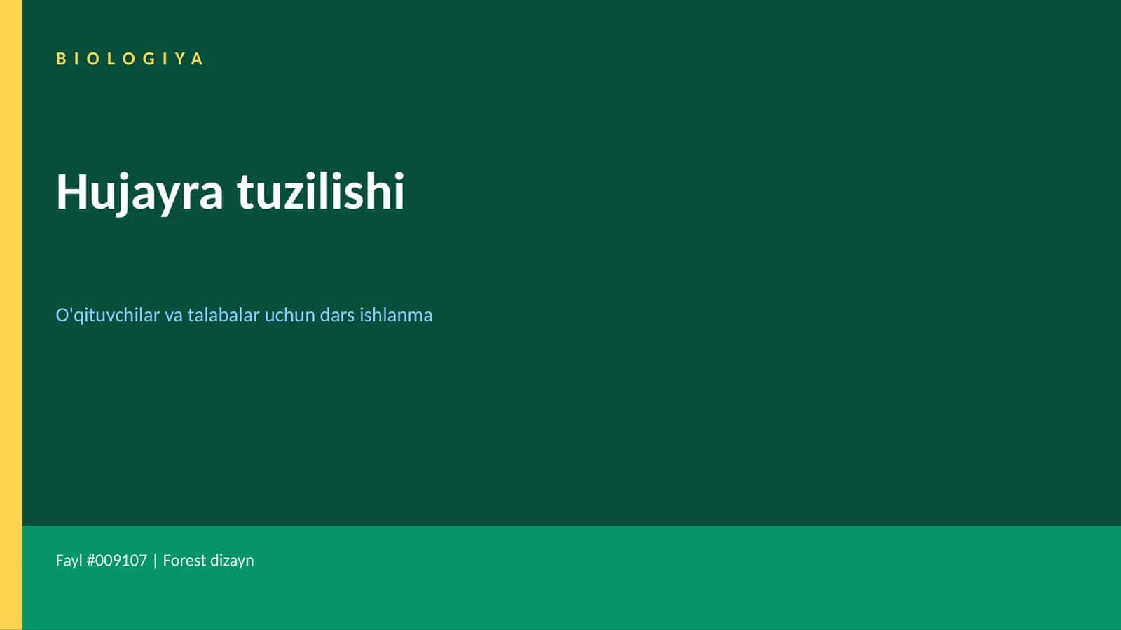 Hujayra tuzilishi 1