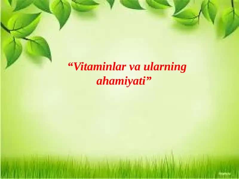 Vitaminlar va ularning ahamiyati 1