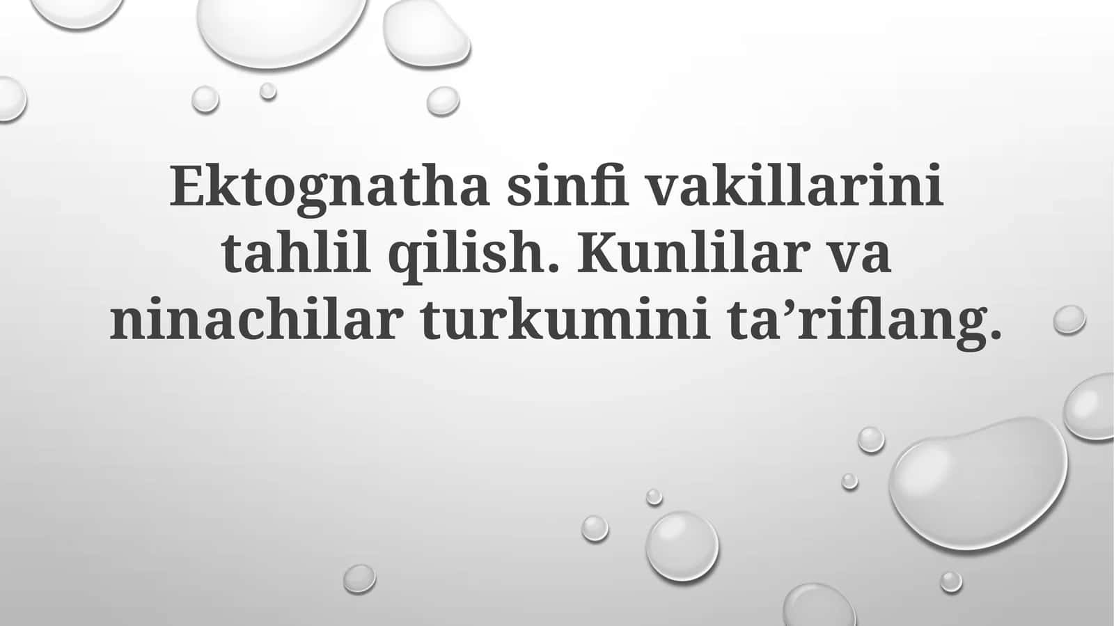 Ninachilar turkumi 1