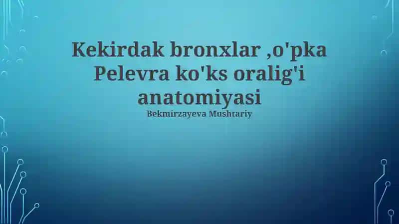 Kekirdak bronxlar, o'pka Pelevra ko'ks oralig'i anatomiyasi
