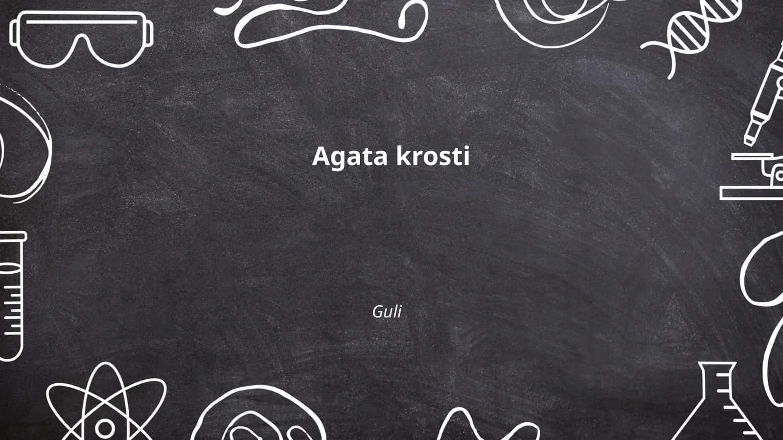 Агава 1