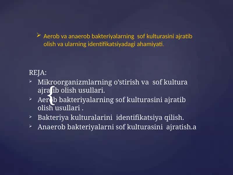 Aerob va Anaerob Bakteriyalarning Sof Kulturasini Ajratib Olish Usullari 1